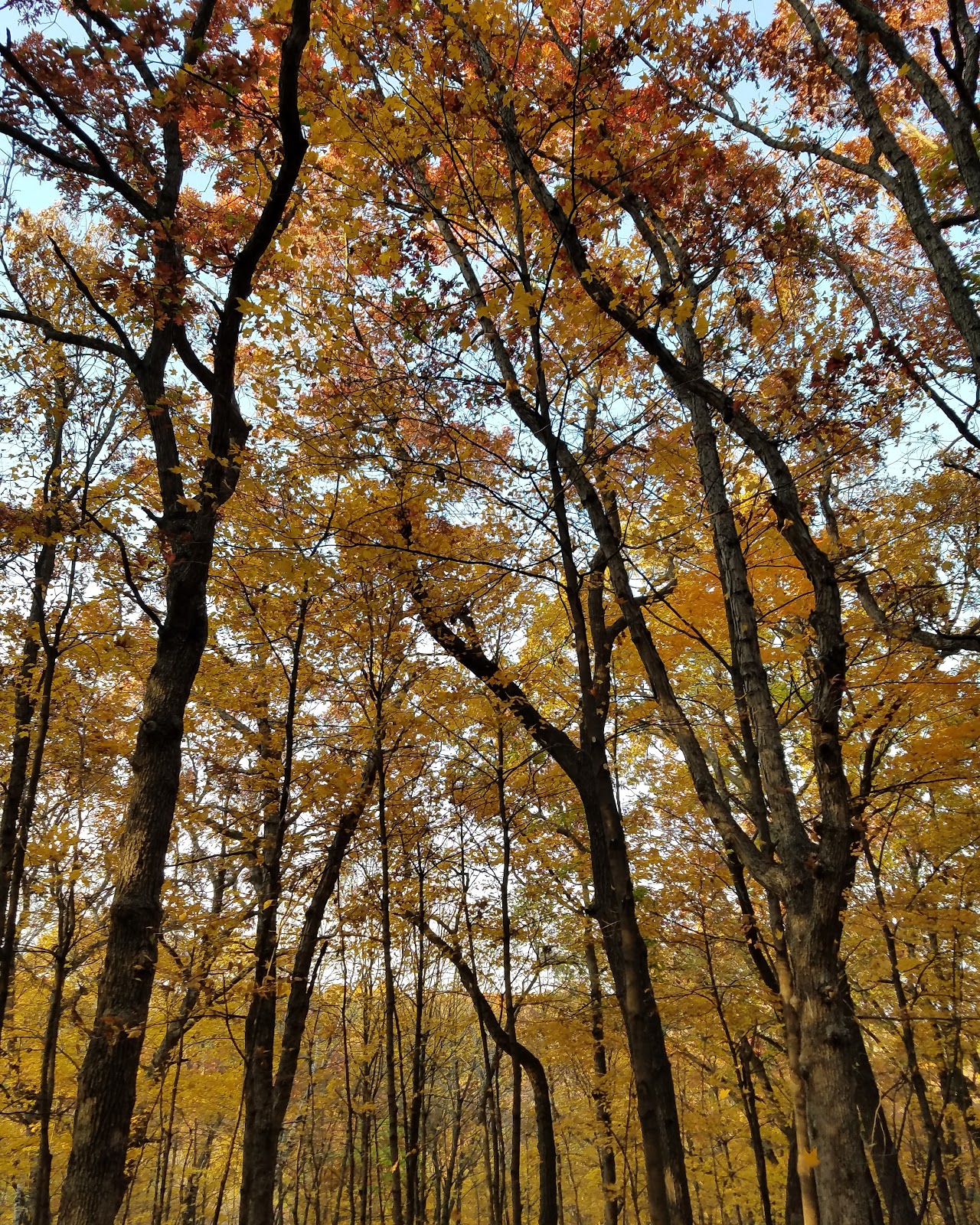 St. Croix Bluffs Regional Park