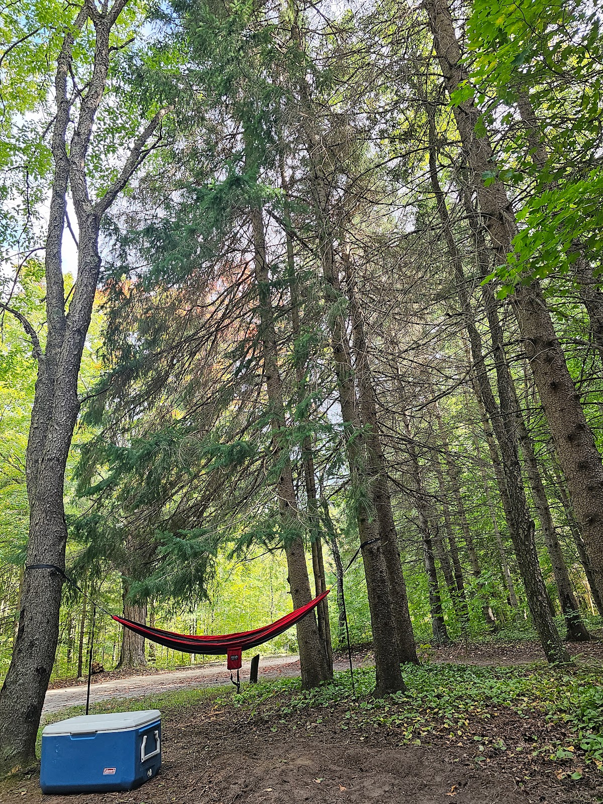 Platte River SF Campground