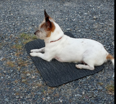 Lee Hi Travel Plaza Campground