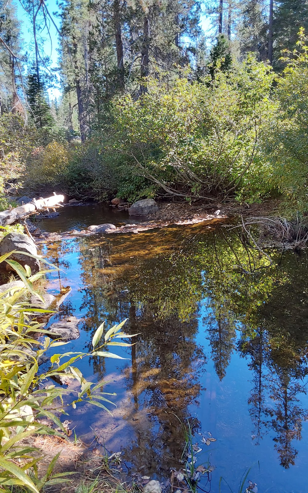 Salmon Creek Campground