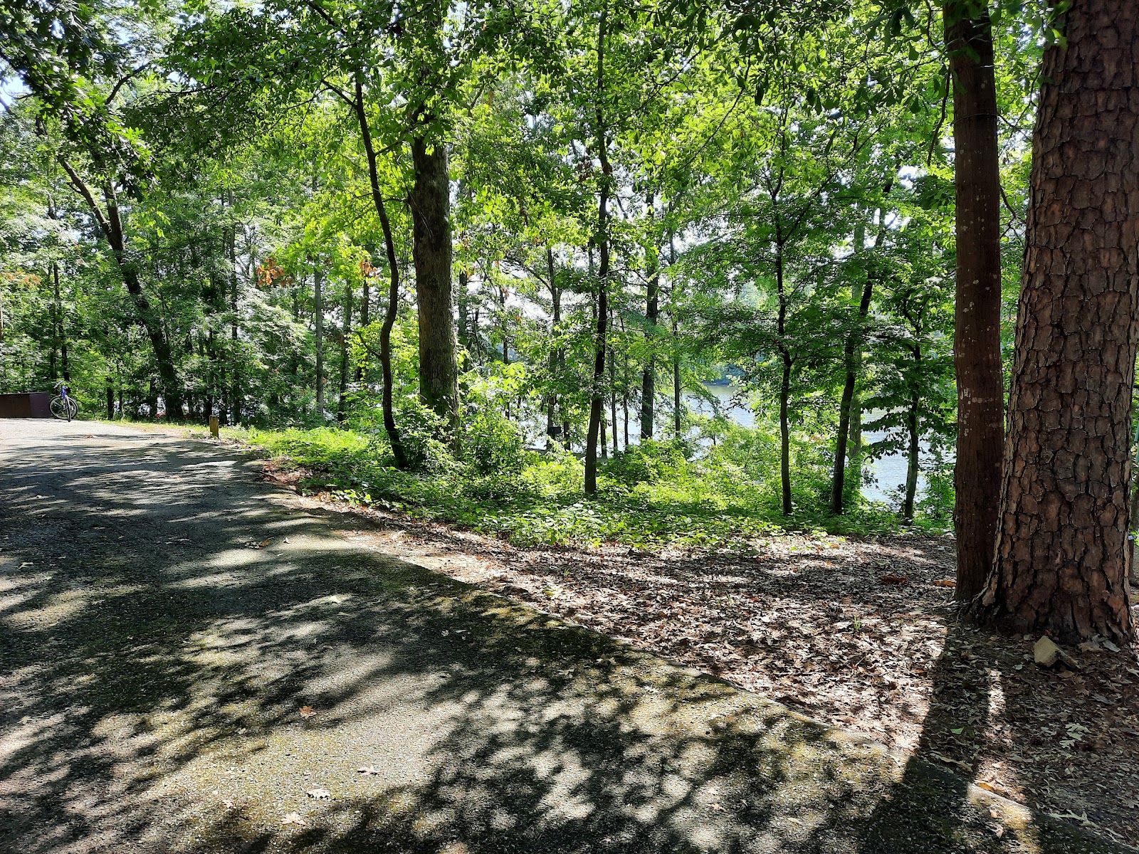 Lake Sinclair NF Campground