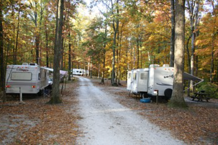 Muscatatuck County Park