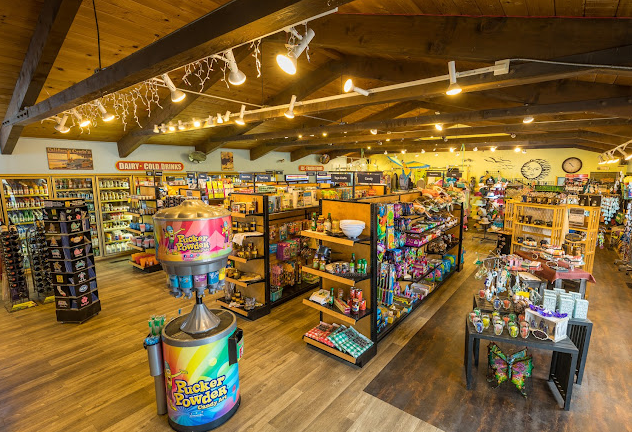 Santa Cruz-Monterey Bay KOA