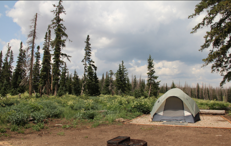 Cedar Breaks Park Camping