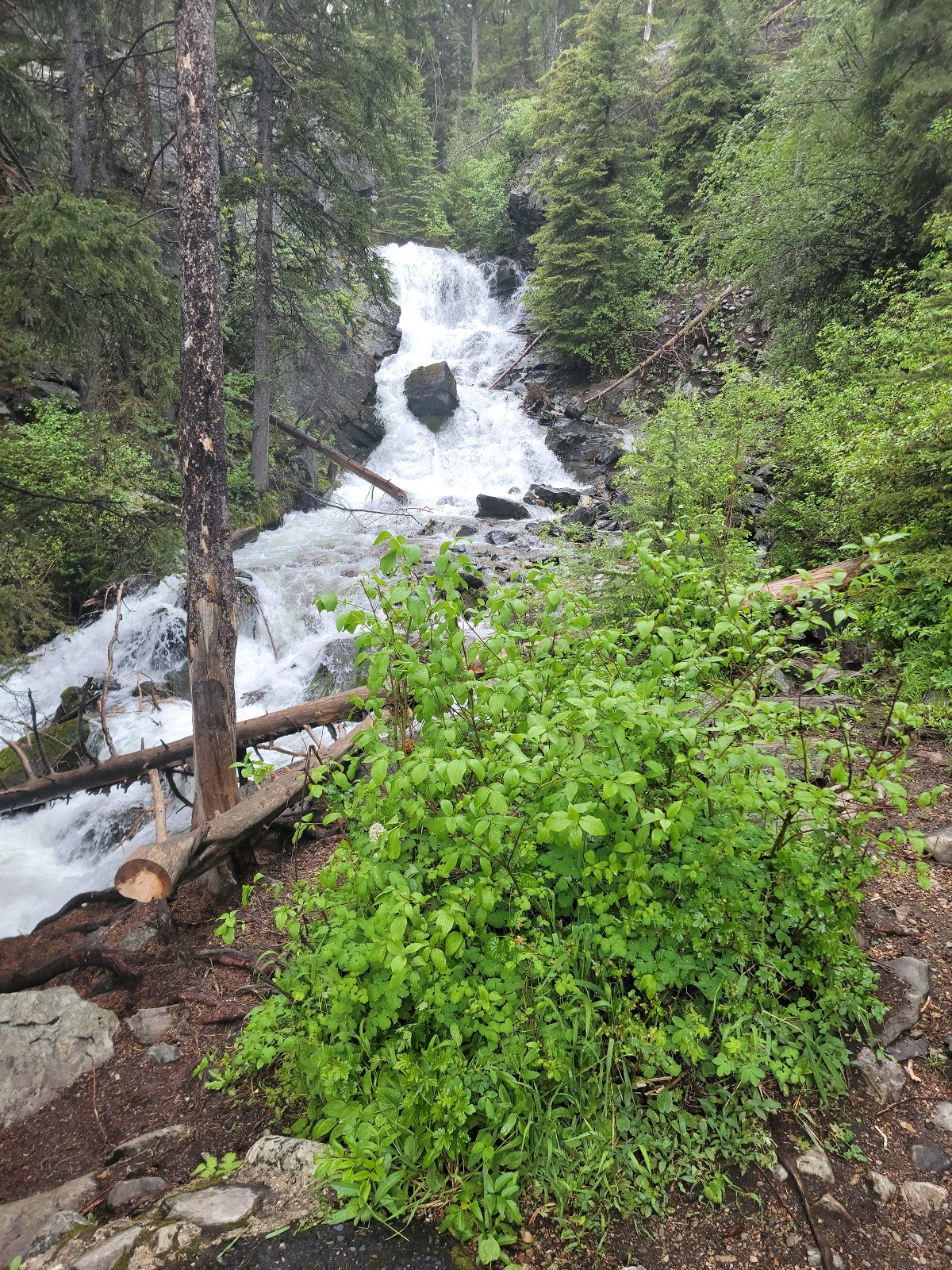 Lost Creek State Park