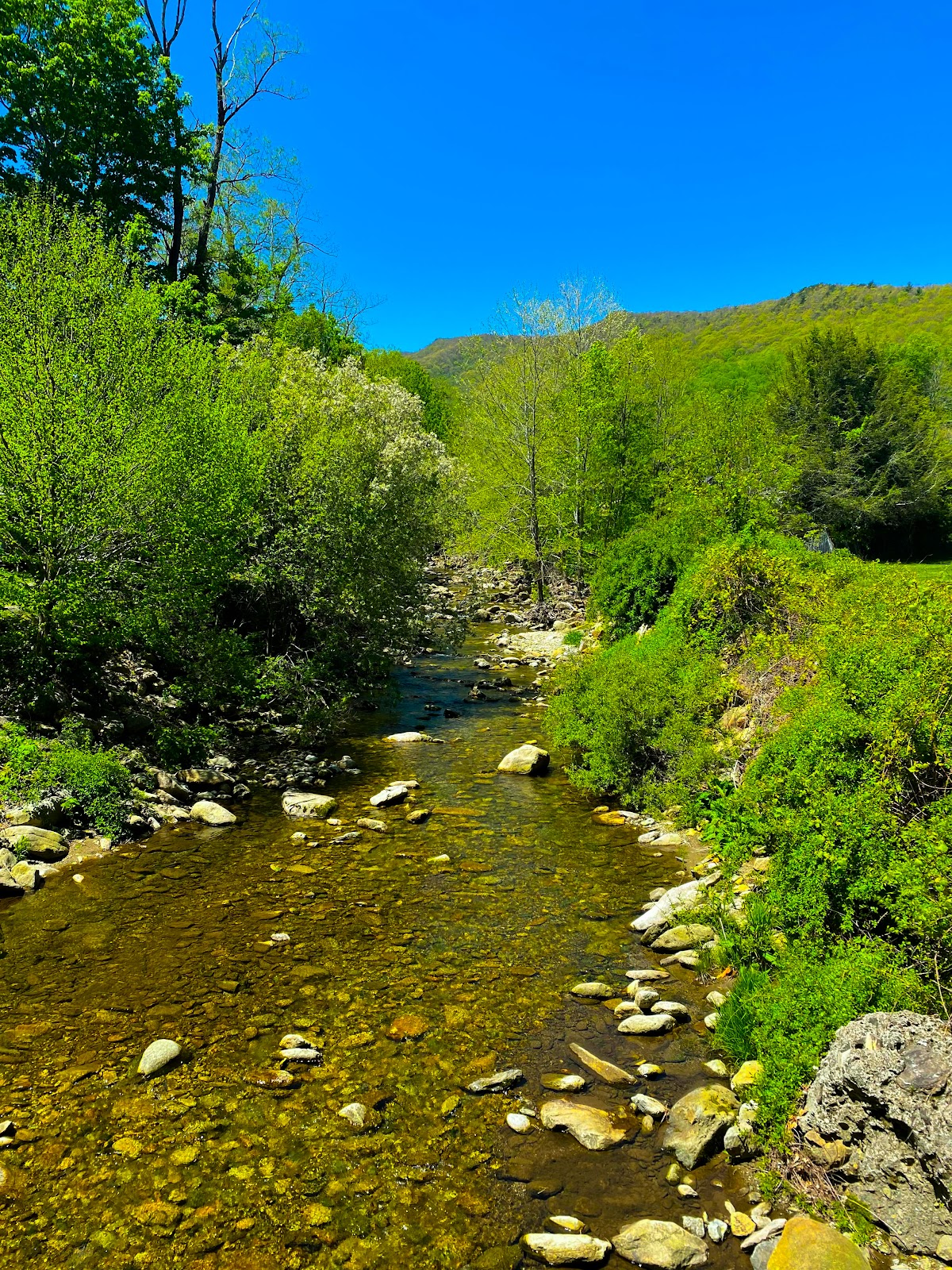 Grandfather Mountain Campground