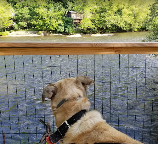 Country Girl's RV Park