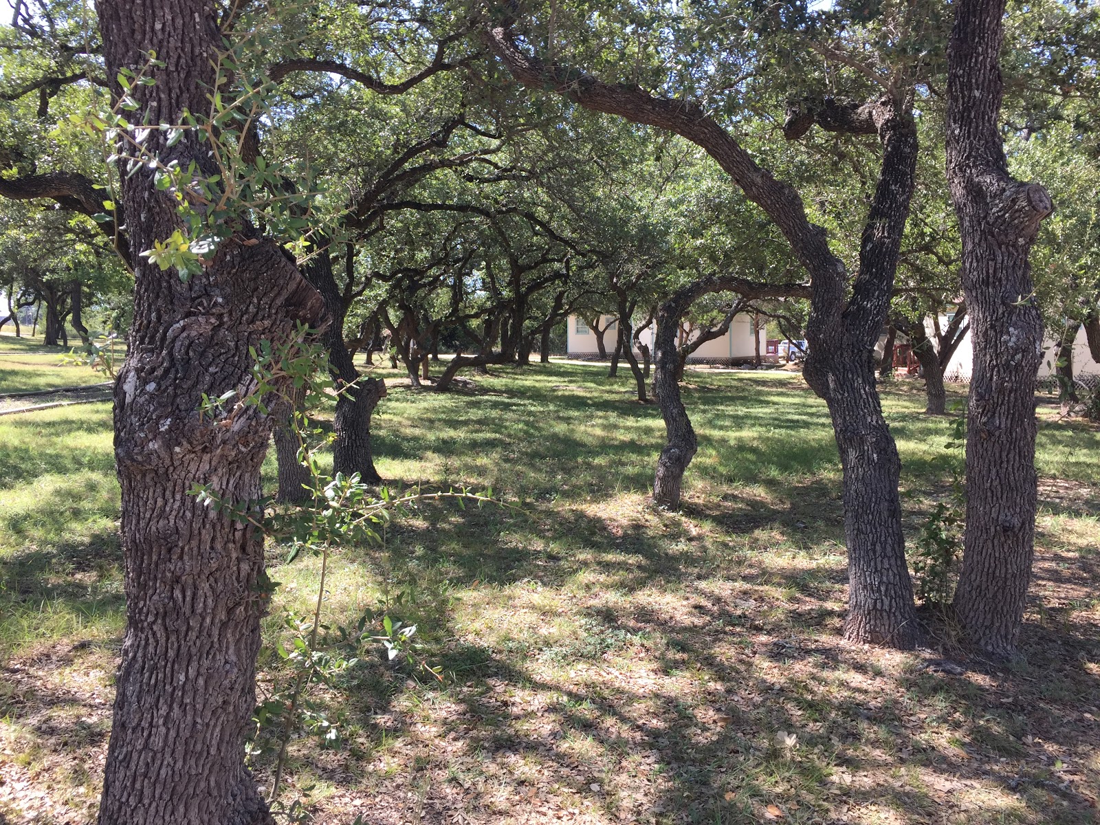 Bunk Haus Lodging and RV Park