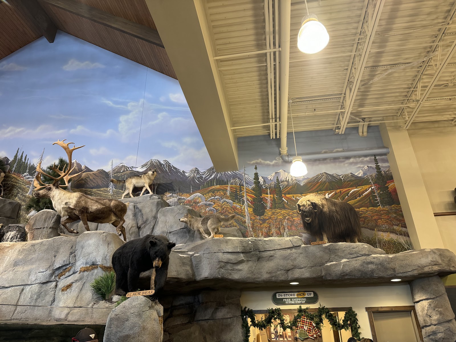 Cabela's