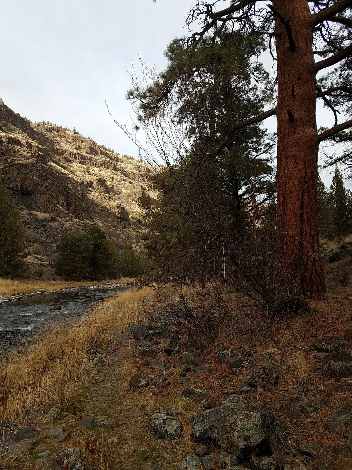 Poison Butte Campground