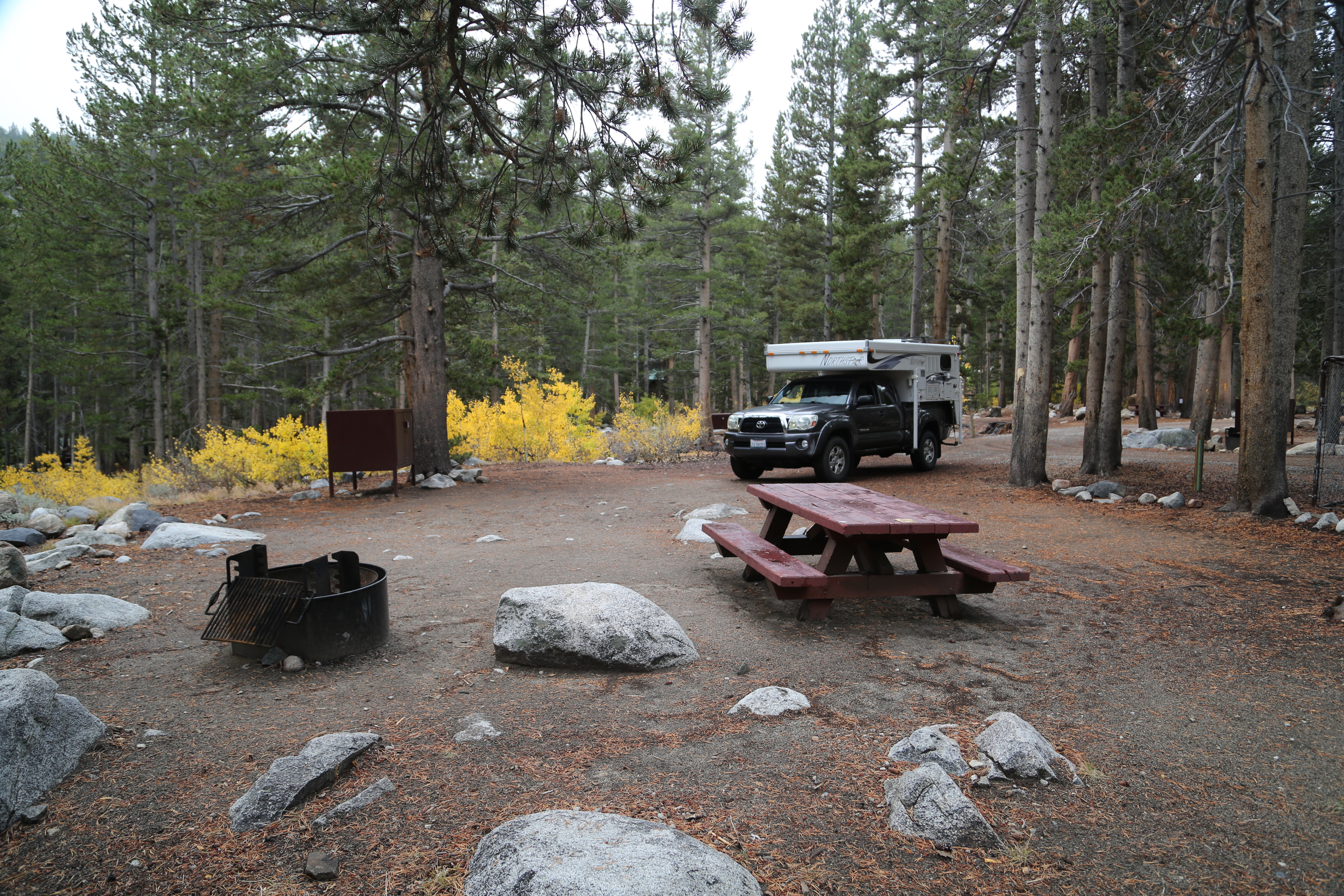Pine Grove Campground