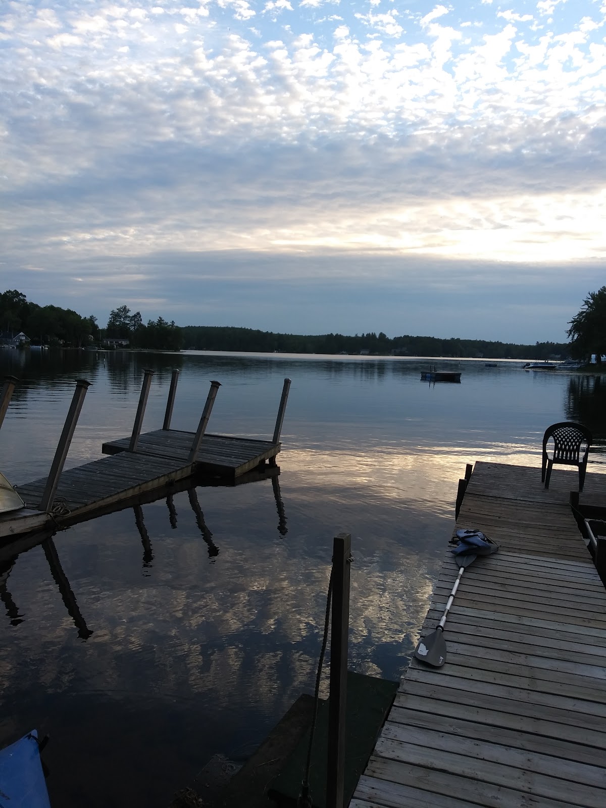 Angle Pond Grove Camping