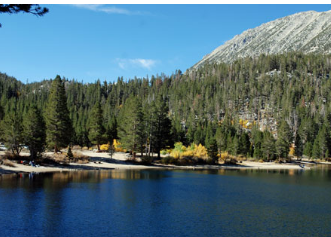 Palisades Group Campground