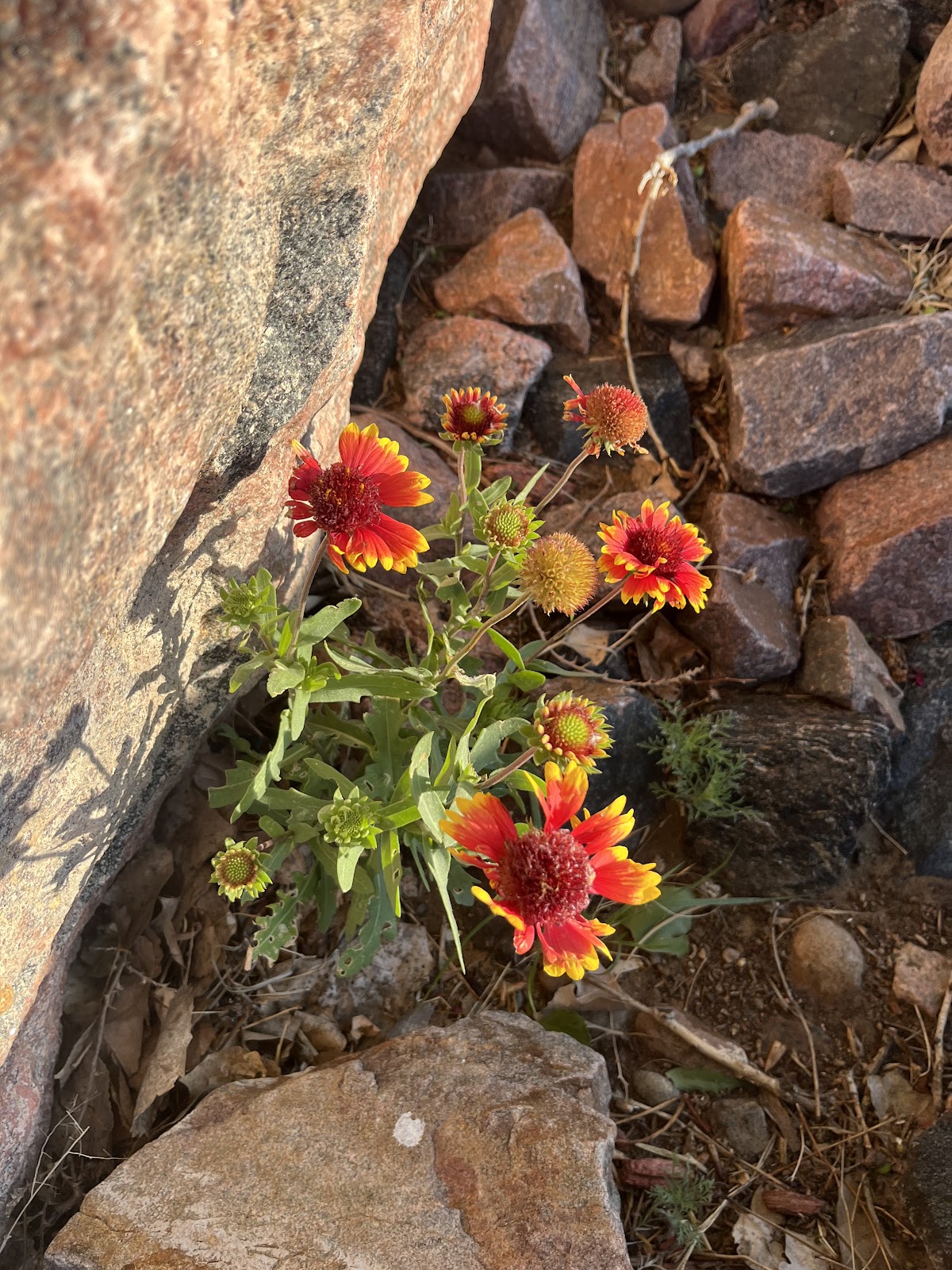 Sundance – High Plains RV Park & Cabins