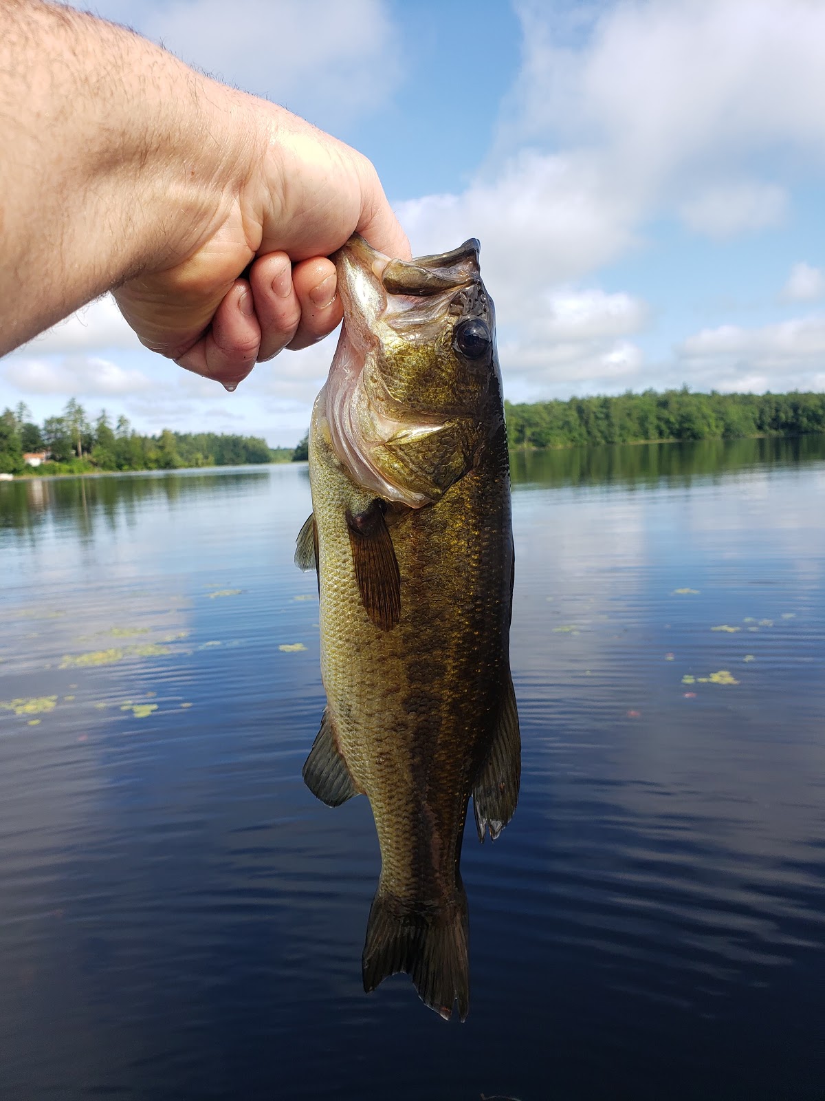 Whispering Pines Campground