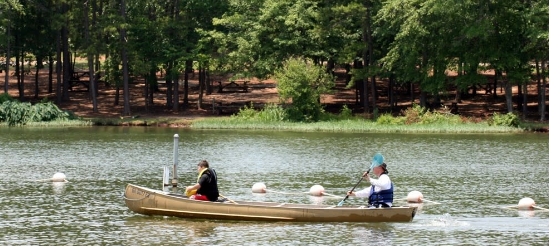Lawrence Shoals Campground