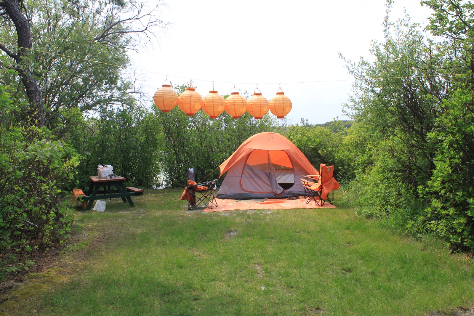 Coastal Acres Camping Court