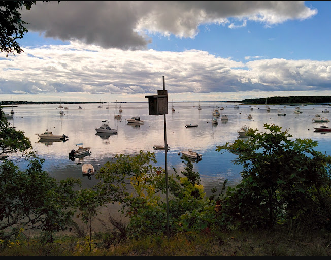 Waquoit Bay National Estuarine Research Reserve