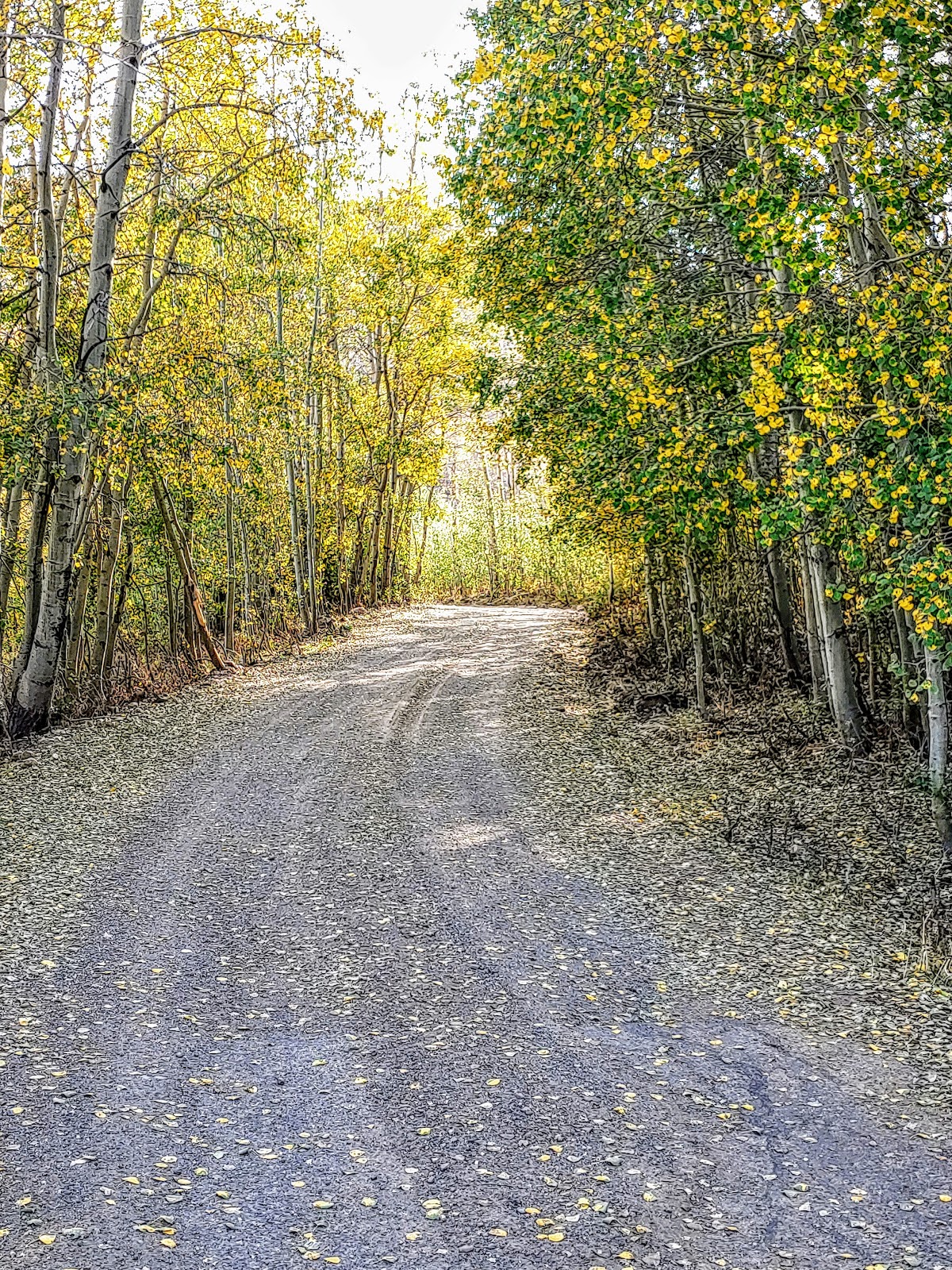 Bennett Springs Campground