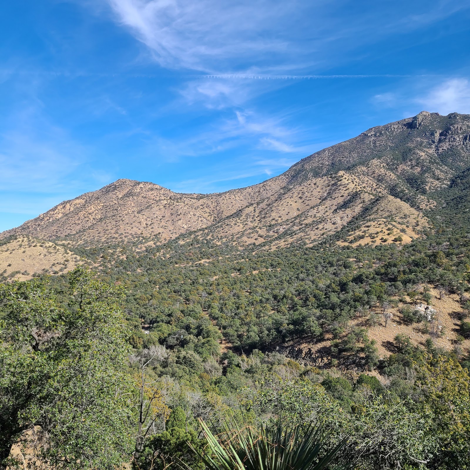 Bog Springs Campground