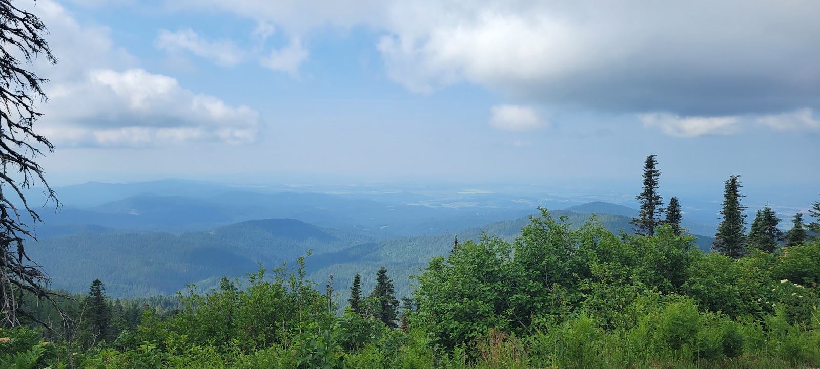 Bald Knob - Mount Spokane State Park