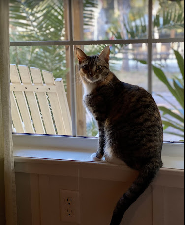 Welaka Lodge & Resort