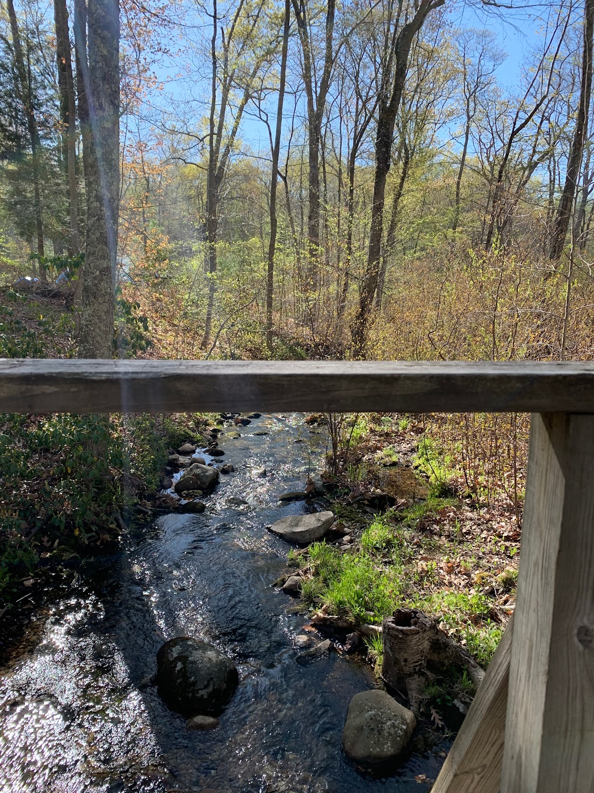 Green Falls Campground