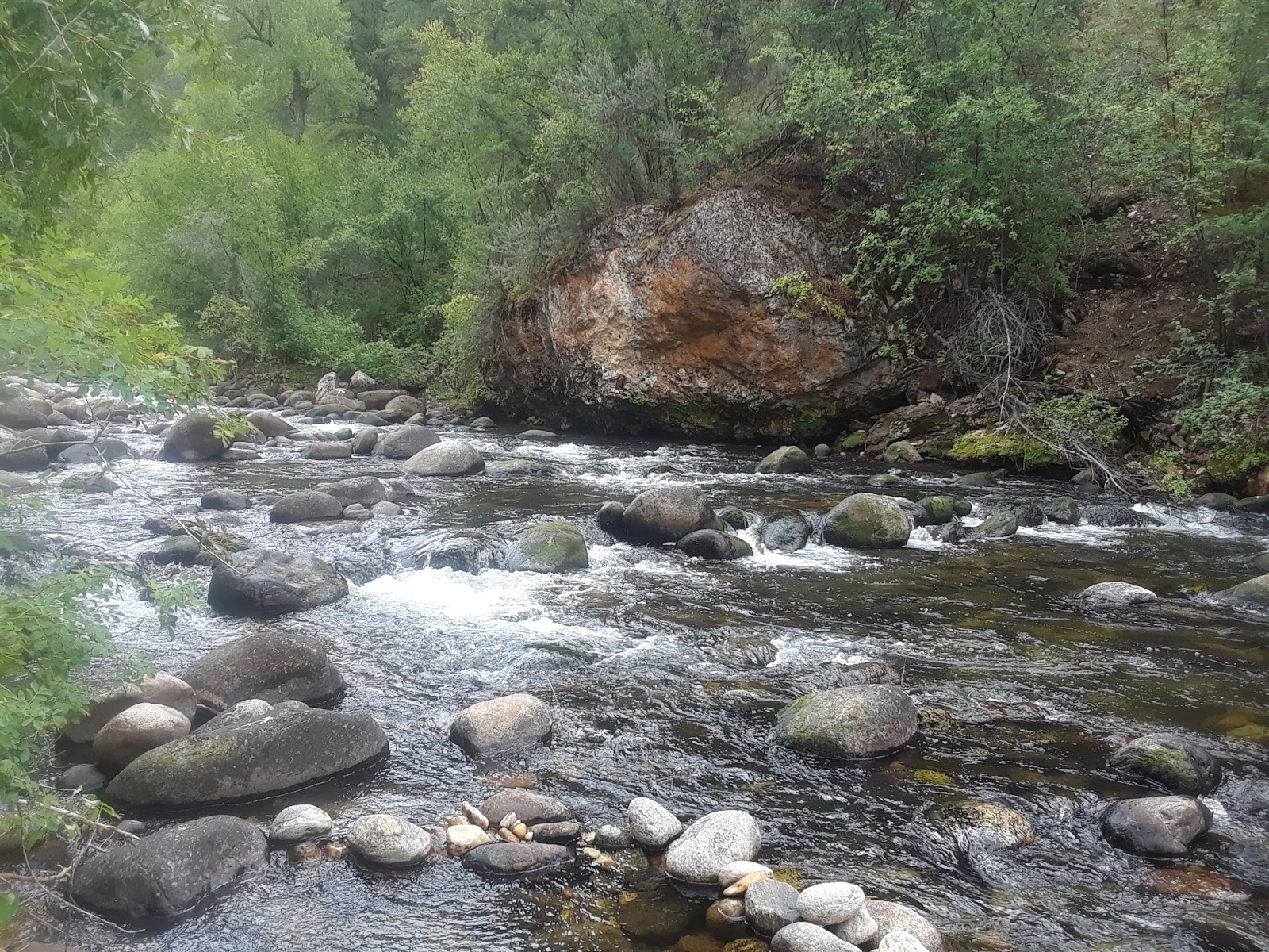 Leigh Creek Campground