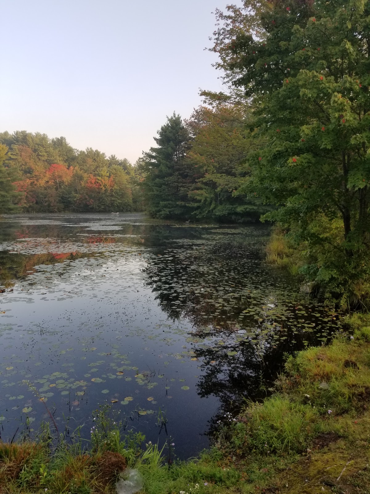 Pout & Trout Campground