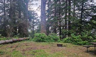 Willapa Harbor RV Park