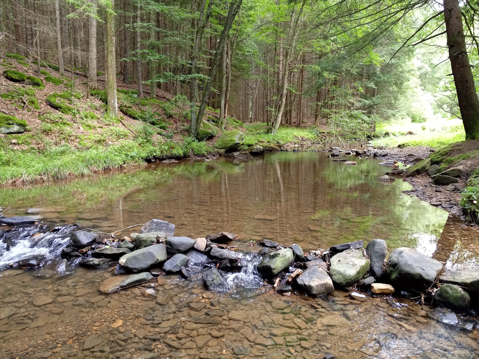 Clear Creek State Park