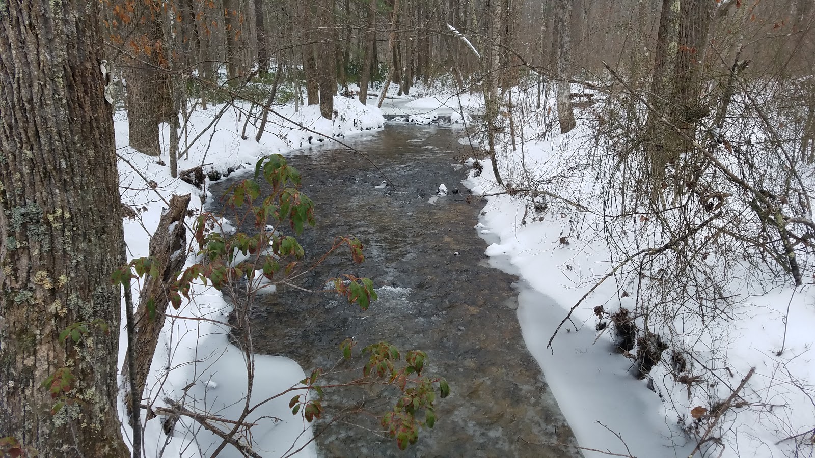 Little Fort Campground