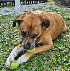 Winter Quarters Pasco RV Resort