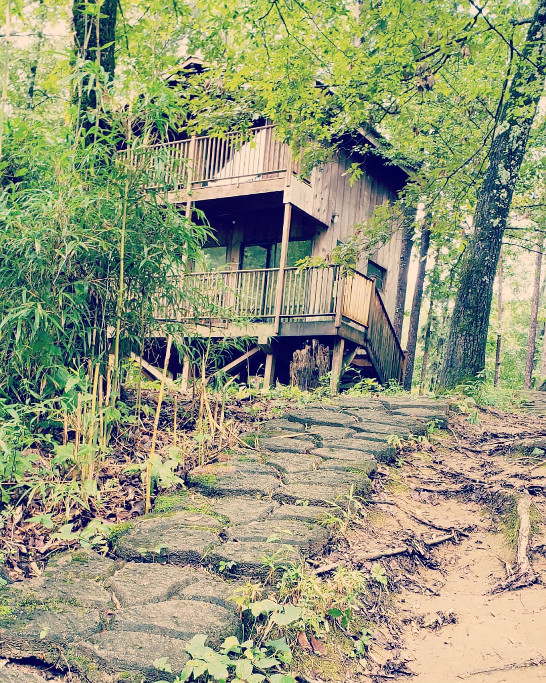 Cadron Creek Outfitters