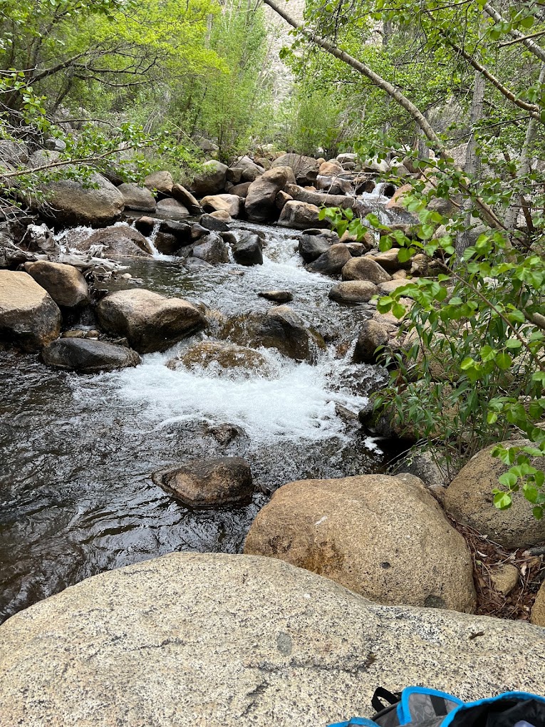 Big Trees Campground