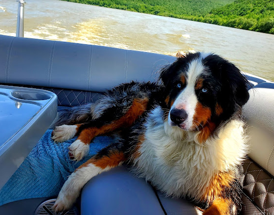 Highbanks Campground