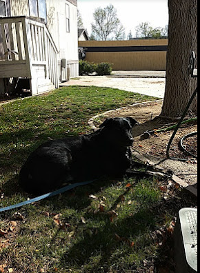 Fresno Mobile Home & RV Park