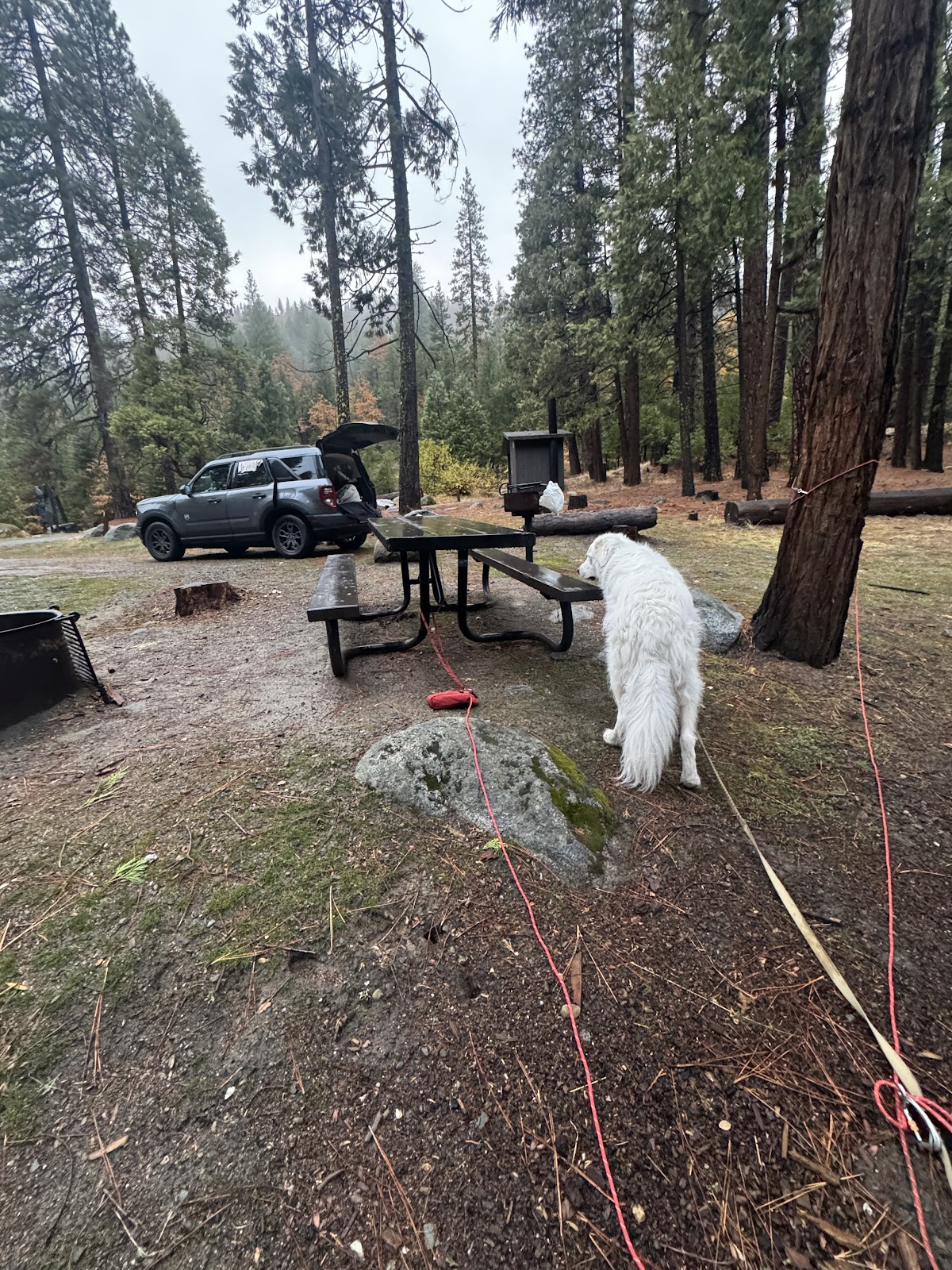 Sand Flat Campground