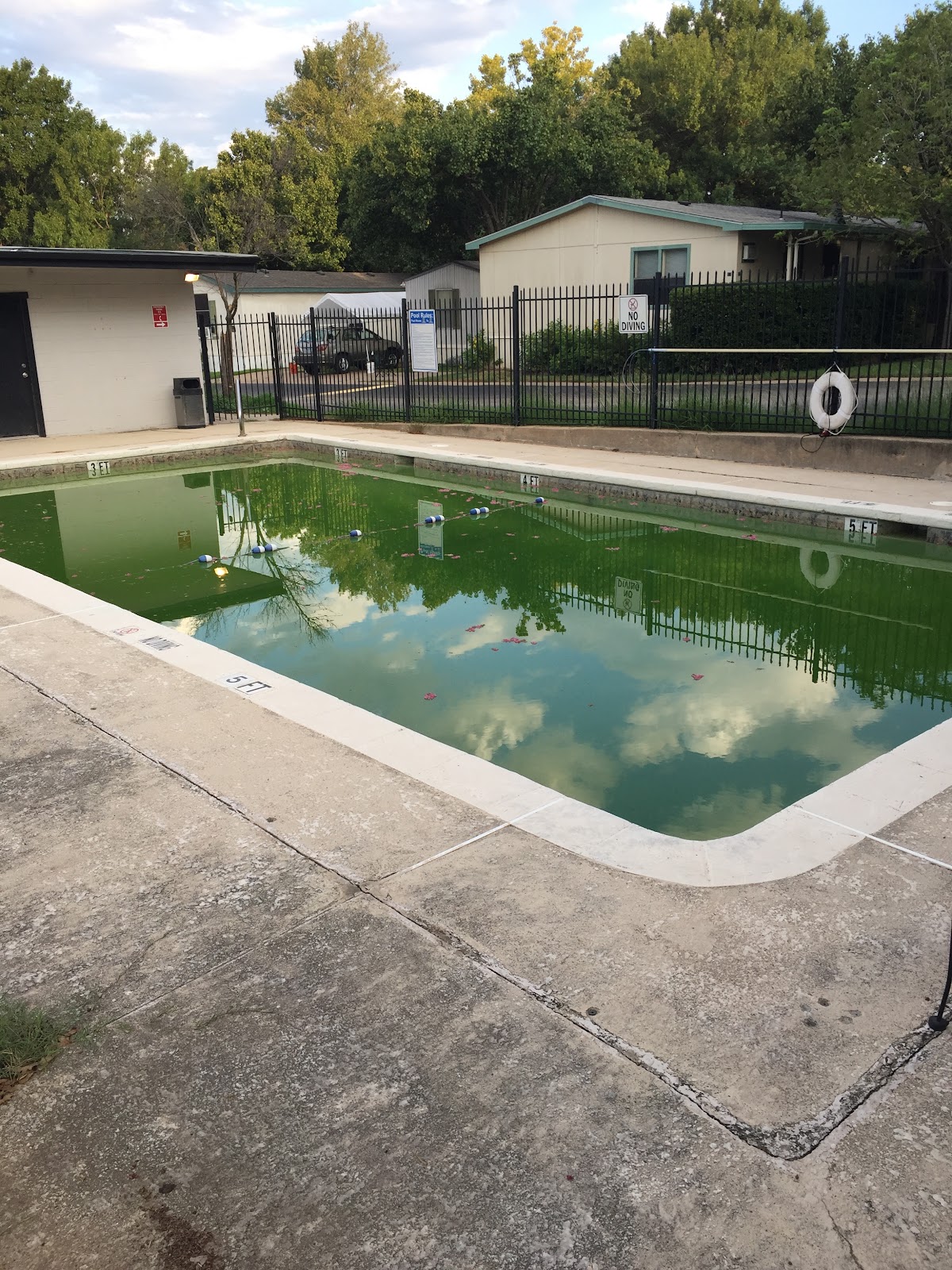 Arlington Forest Acres