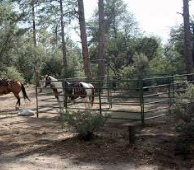 Groom Creek Horse Camp