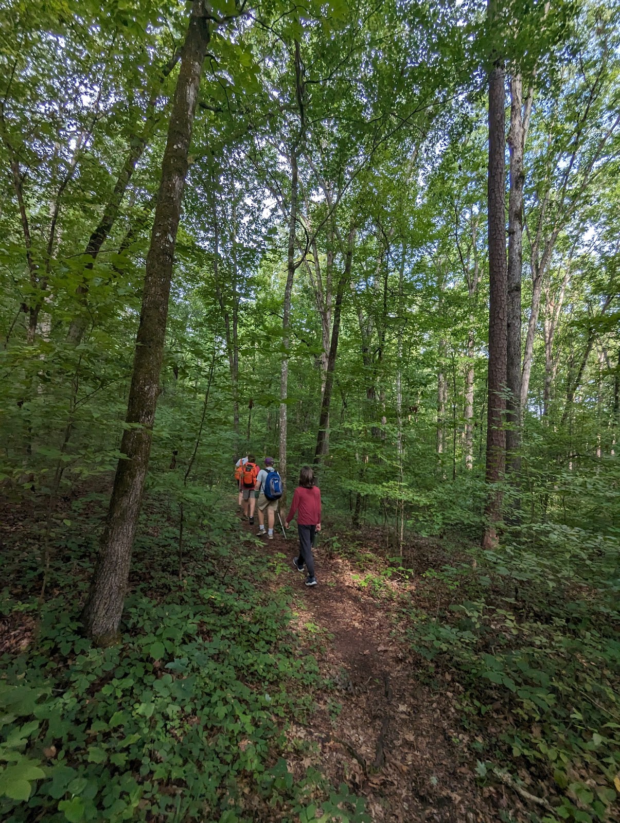 Parson’s Mountain Recreation Area