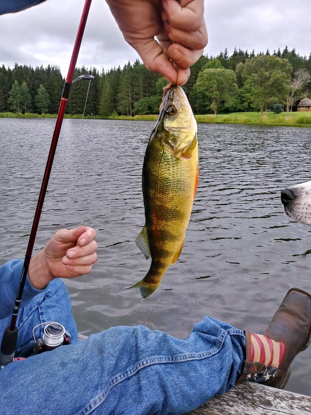 Shamrock Pines Campground