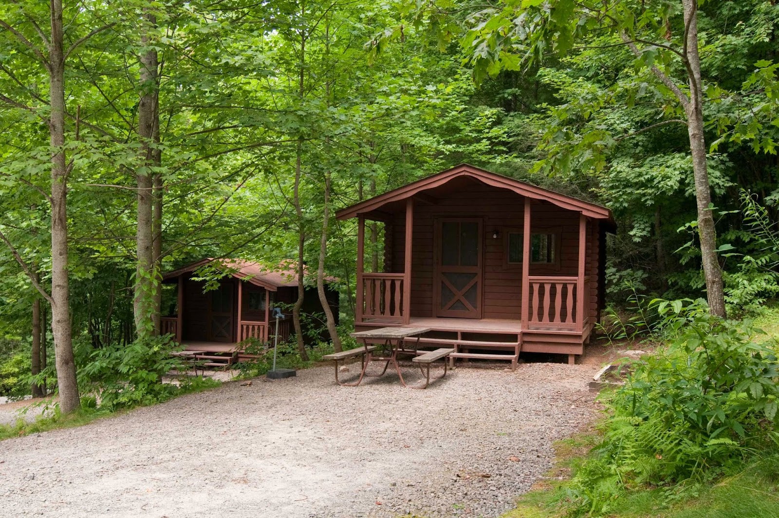 Black Forest Family Camp