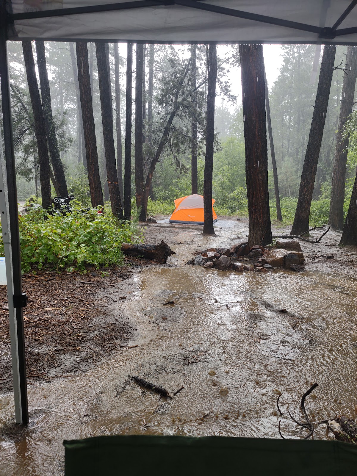 Rose Creek Campground