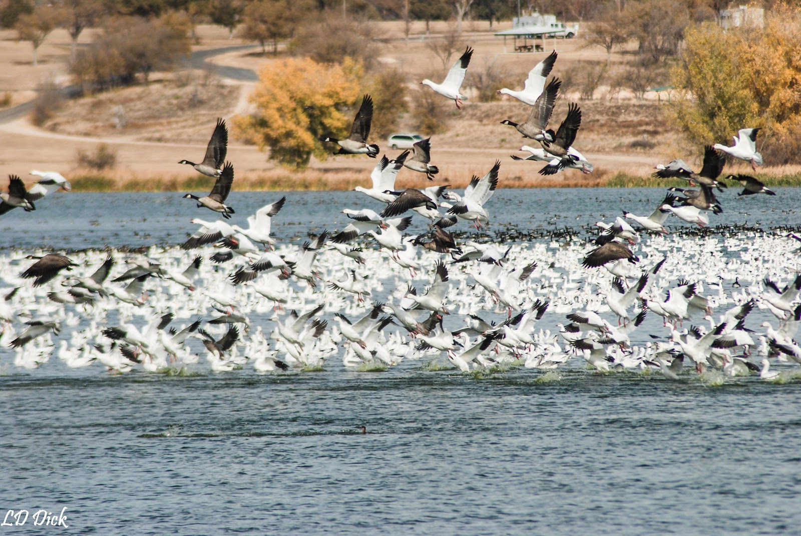 Rita Blanca Lake Park