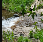 Bonito Hollow RV Park & Campground