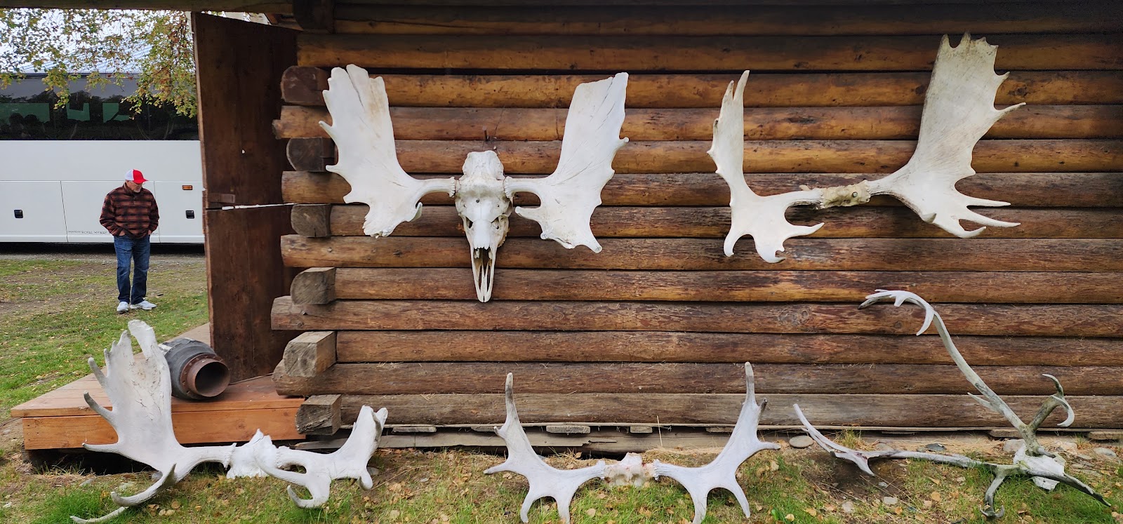 Tatlanika Gift Shop and Campground