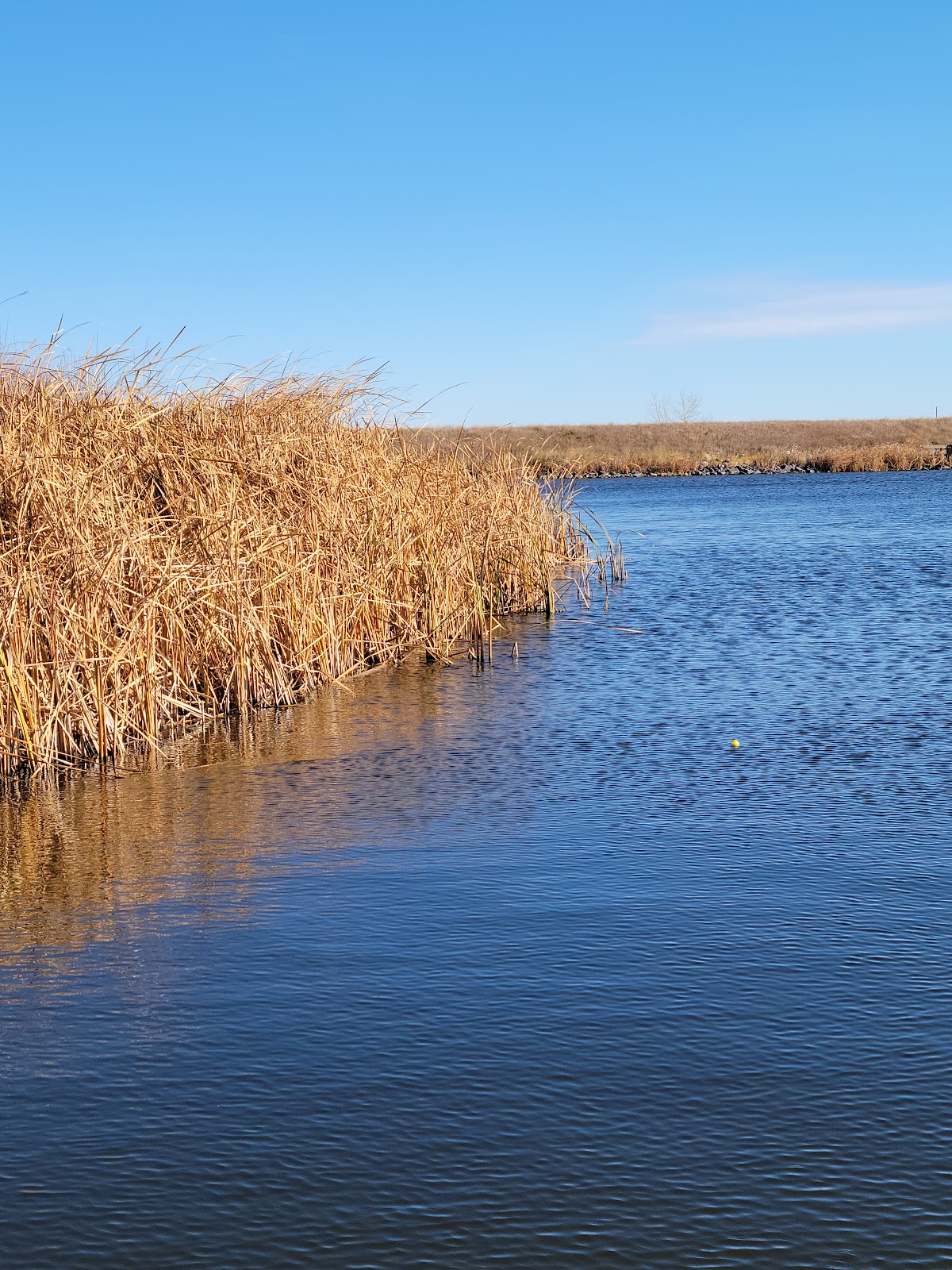 NorthGate Dam Campground