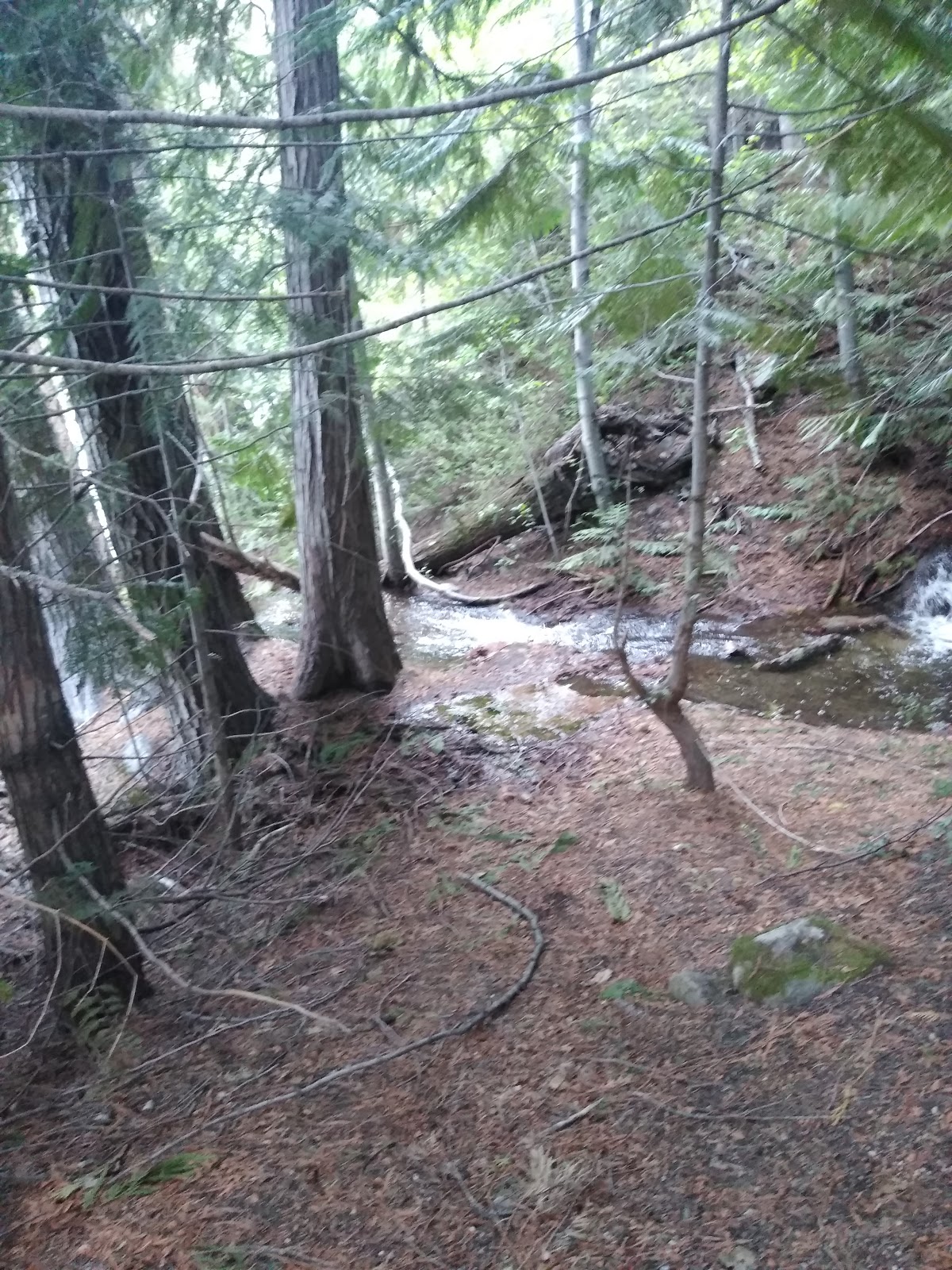 Lake Creek Campground – Entiat River