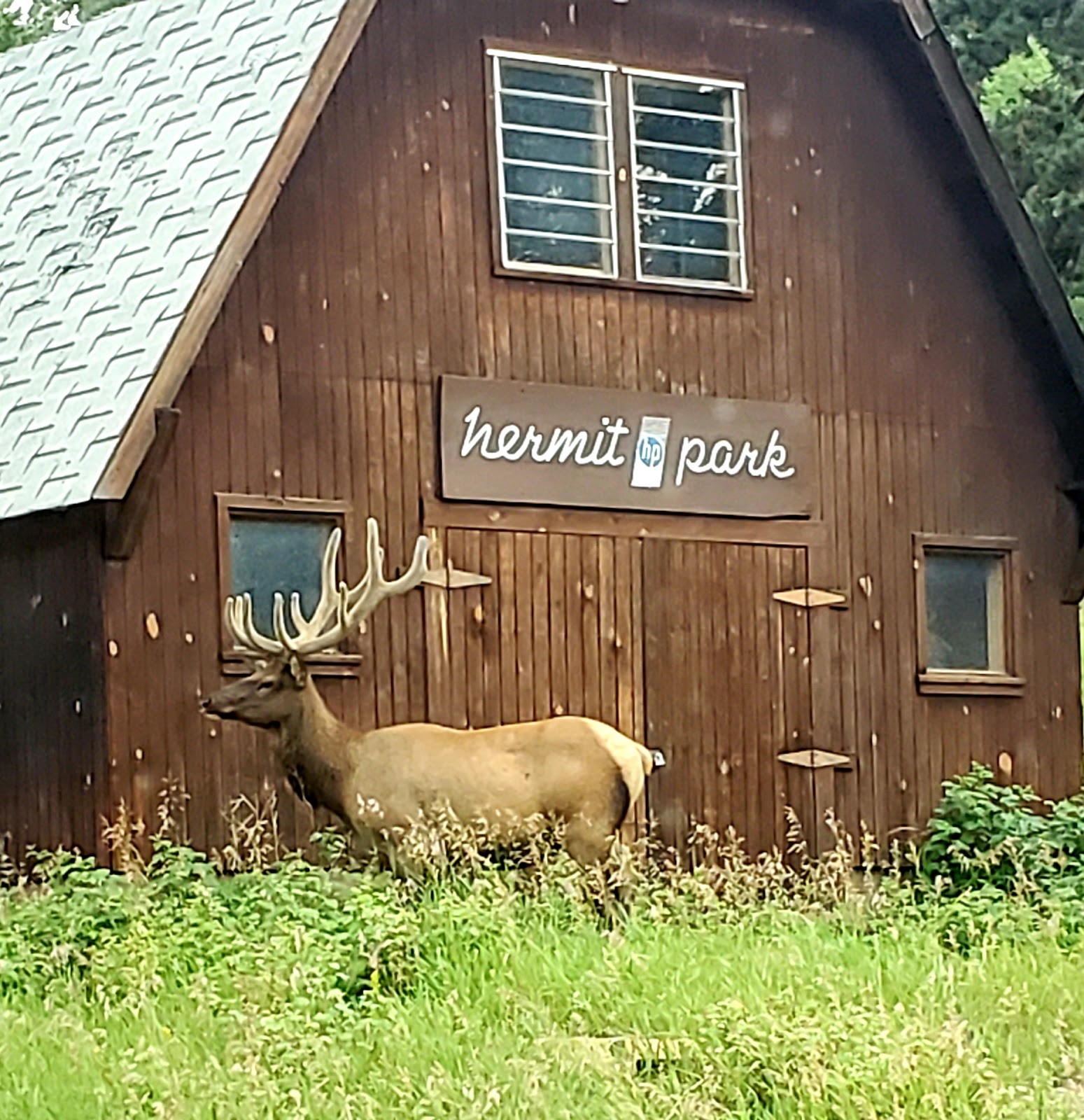 Hermit Open Space County Park Kruger